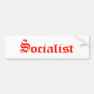 Socialist Bildekal