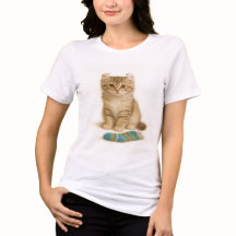 Sock det åt mig - American Curl Kitten Edition