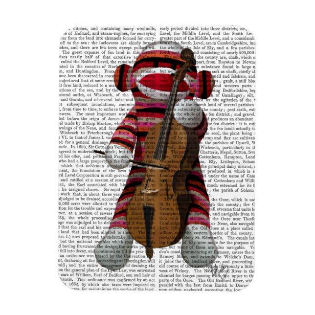 Sock monkey och Cello Magnet (Vertikal)