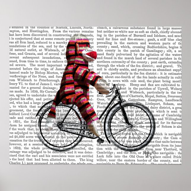 Sock monkey på cykel poster (Framsidan)