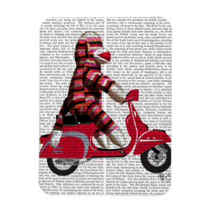 Sock monkey på Moped Magnet