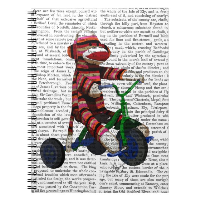 Sock monkey på trehjuling anteckningsbok (Framsidan)