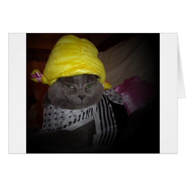 Sock Skutt Kattunge Hälsningskort (Framsidan Horizontal)