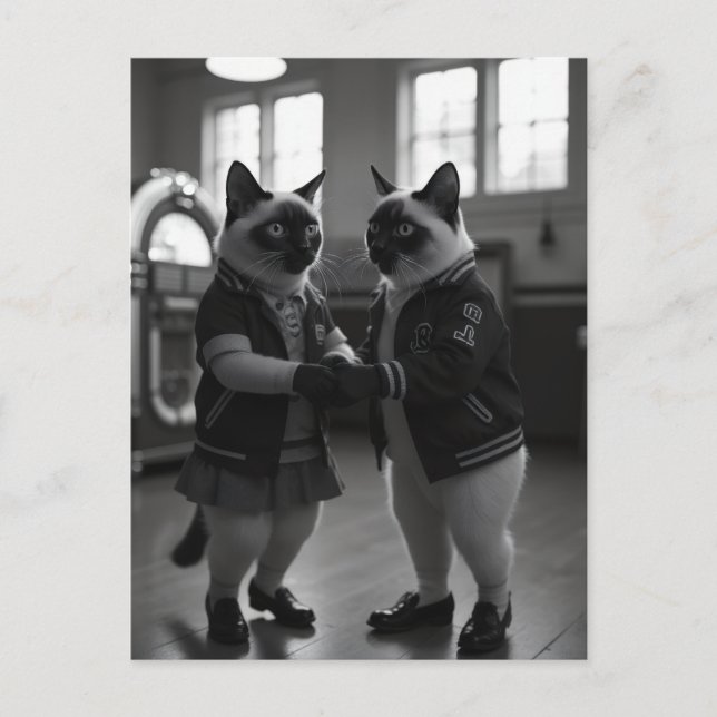 Sock Skutt Kattunge Vykort (Framsida)