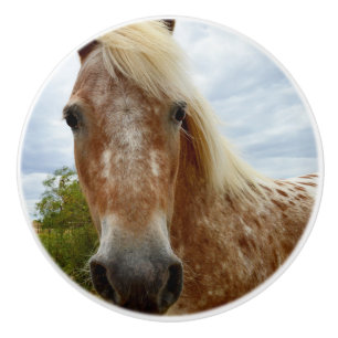 Socker Appaloosa-hästen, keramisk docka. Knopp