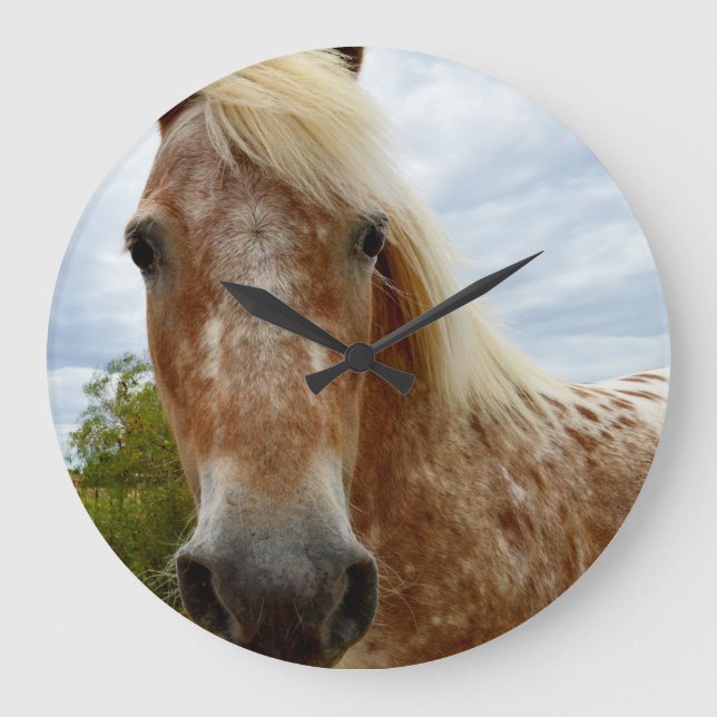 Socker Appaloosa-hästen, stor rund väggklocka. Klocka (Framsida)