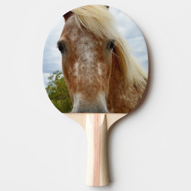 Socker Appaloosa Horse Pingisracket (Framsidan)