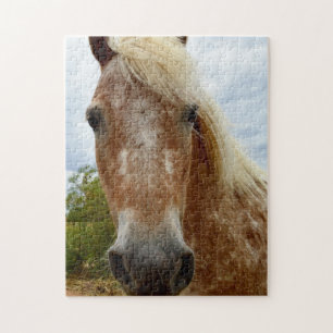 Socker från Appaloosa Horse, Jigszle Puzzle Pussel
