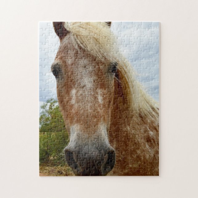 Socker från Appaloosa Horse, Jigszle Puzzle Pussel (Vertikal)