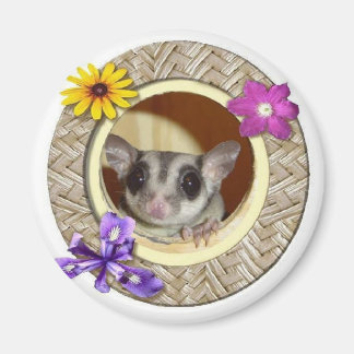 Socker Glider Magnet