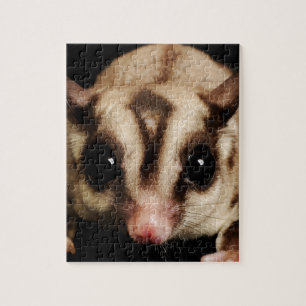 Socker Glider Pussel