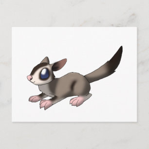 Socker Glider Vykort