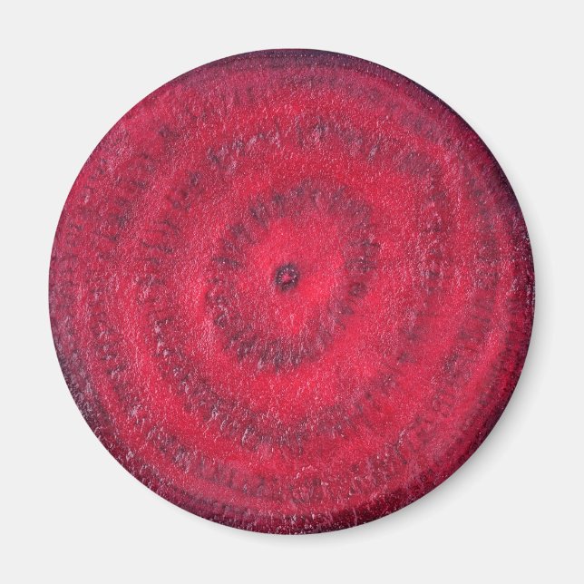 Sockerbetssegment Magnet (Framsidan)