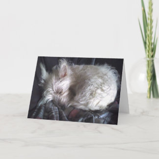 Sockerbetssnöre, jaktkort kort