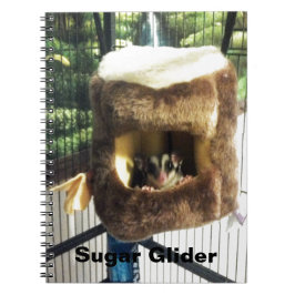 Sockerglider i Hårig Träd Lastbil Hanging Bed Anteckningsbok Med Spiral
