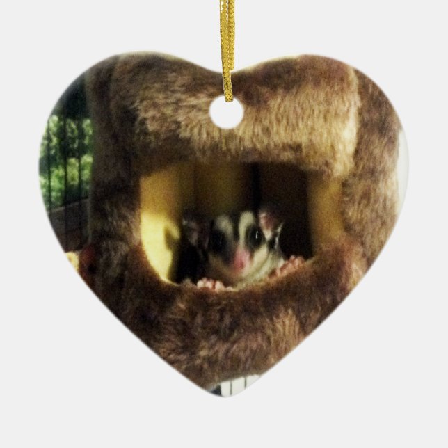 Sockerglider i Hårig Träd Lastbil Hanging Bed Julgransprydnad Keramik (Framsidan)