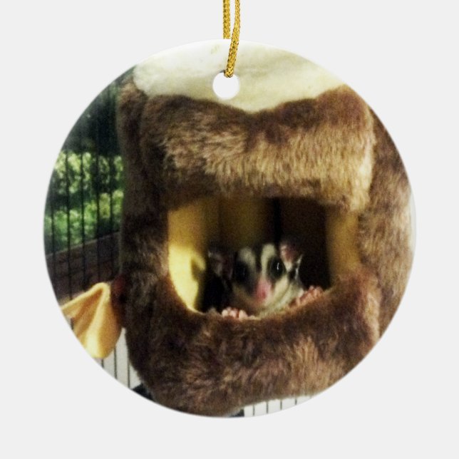 Sockerglider i Hårig Träd Lastbil Hanging Bed Julgransprydnad Keramik (Framsidan)
