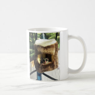 Sockerglider i Hårig Träd Lastbil Hanging Bed Kaffemugg