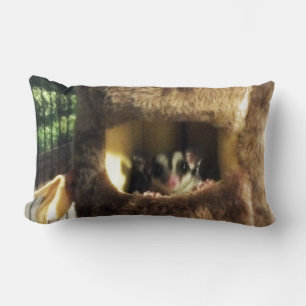 Sockerglider i Hårig Träd Lastbil Hanging Bed Lumbarkudde