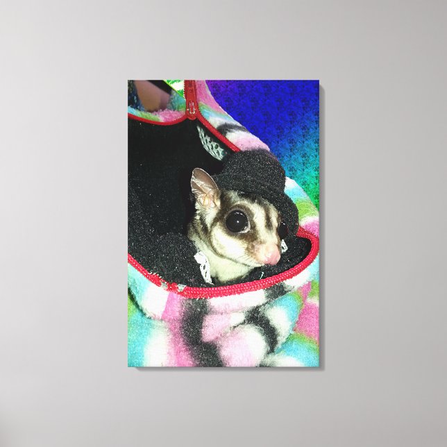 Sockerglider med hatt canvastryck (Framsida)