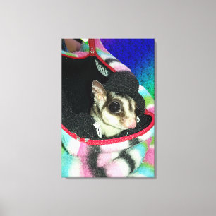 Sockerglider med hatt canvastryck