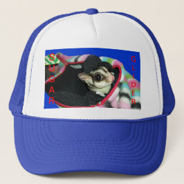 Sockerglider med hatt keps