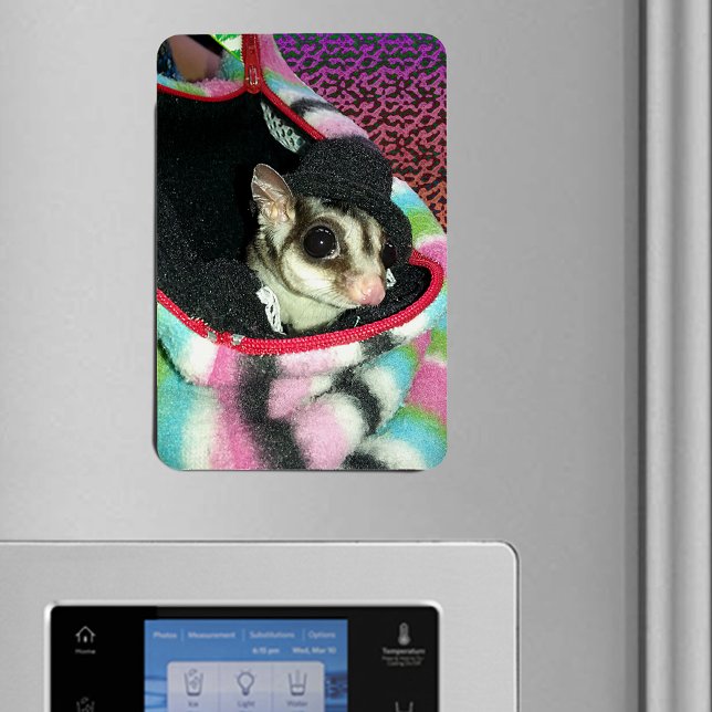 Sockerglider med hatt magnet (Sugar Glider Wearing a Hat Flexible Magnet)