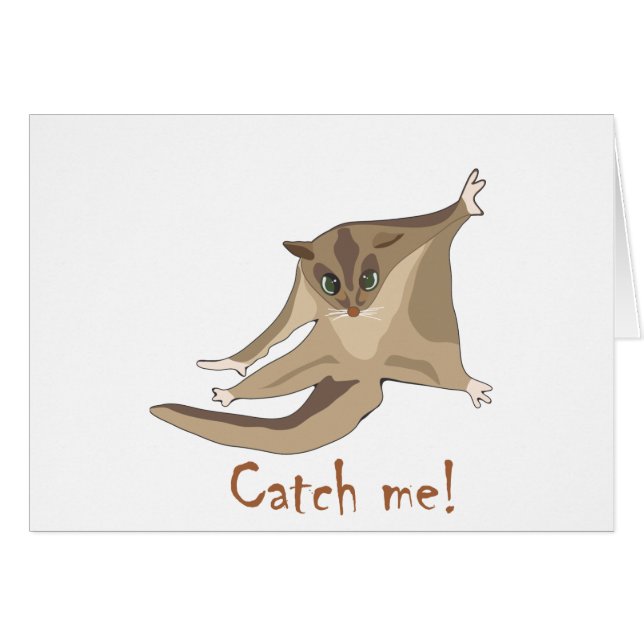 sockerglidflygplan hälsningskort (Framsidan Horizontal)