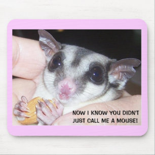 Sockerglidflygplan Mousepad Musmatta