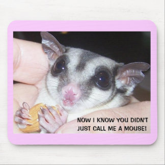 Sockerglidflygplan Mousepad Musmatta