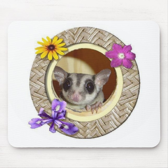 Sockerglidflygplan Musmatta (Framsidan)