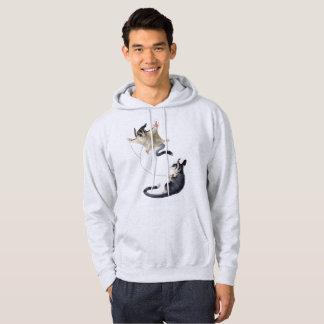 sockerglidflygplandrake sweatshirt