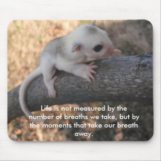 Sockerglidflygplanmousepad Musmatta