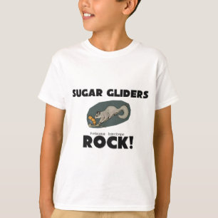 Sockerglidflygplansten T-shirt