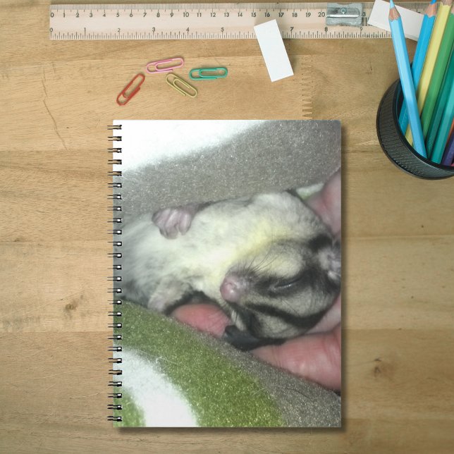 Sockergregaj Spipande i Blanket Anteckningsbok (Sugar Glider Sleeping in Blanket Notebook)