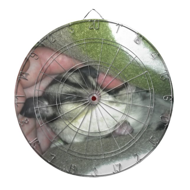 Sockergregaj Spipande i Blanket Darttavla (Framsidan)