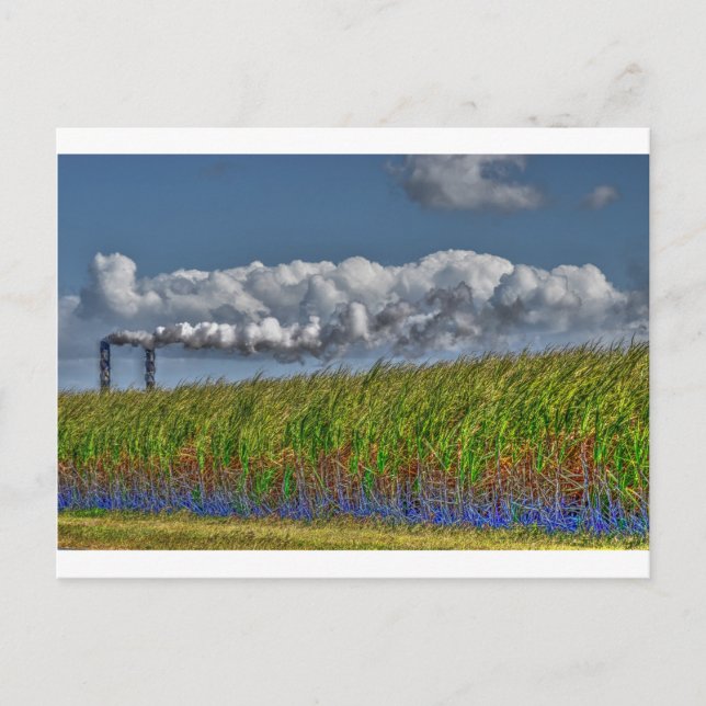 SOCKERKÄPPEN MILL LANDSBYGDSOMRÅDET AUSTRALIA VYKORT (Framsida)