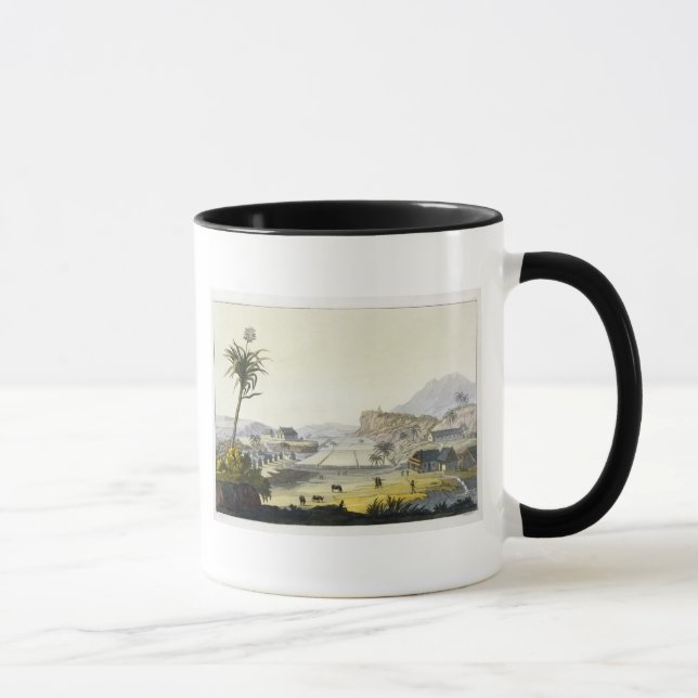 Sockerkoloni, Antilles (färggravyr) Mugg (Höger)