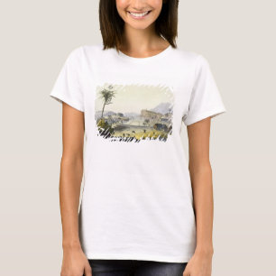 Sockerkoloni, Antilles (färggravyr) Tee