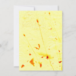 Sockerkulor, torkade kort