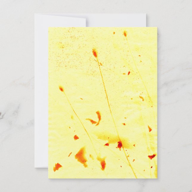 Sockerkulor, torkade kort (Framsida)