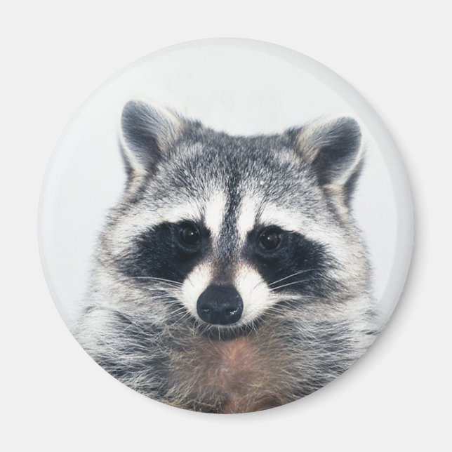 sockermagnet magnet (Framsidan)