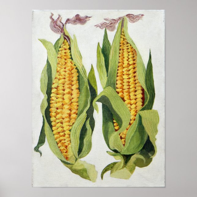 Sockermajs 2013 poster (Framsidan)