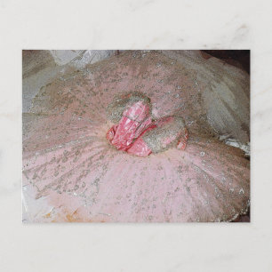 Sockerplommon Vykort