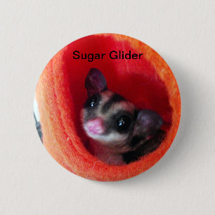 Sockerreglage i Orange Hanging Bed Knapp
