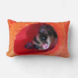 Sockerreglage i Orange Hanging Bed Lumbarkudde