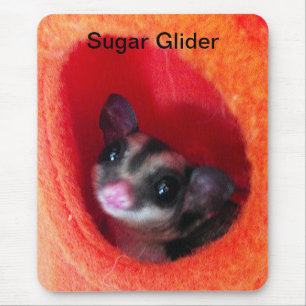 Sockerreglage i Orange Hanging Bed Musmatta