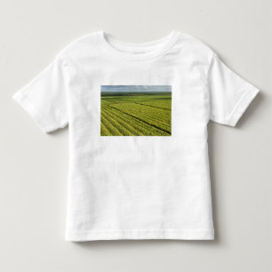 Sockerrörsplantager, Guyana Tee Shirt