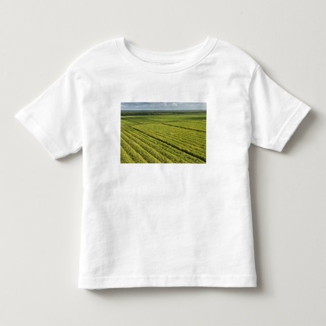 Sockerrörsplantager, Guyana Tee Shirt (Framsida)