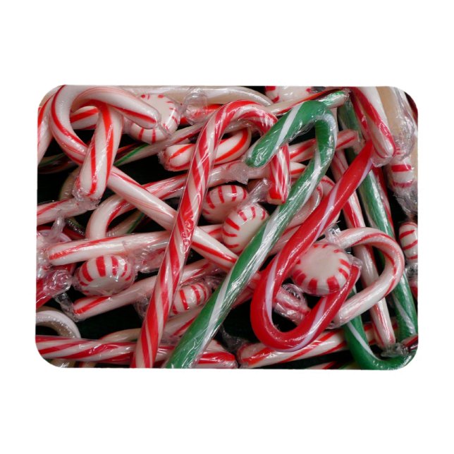 Sockerstickor och Pepparmynta Julfirande Magnet (Horisontell)
